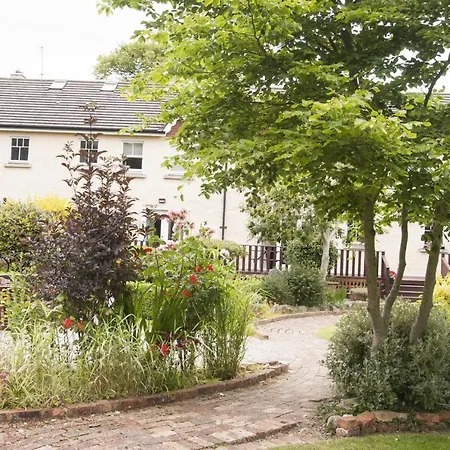 Courtyard No 8 By Trident Homes *